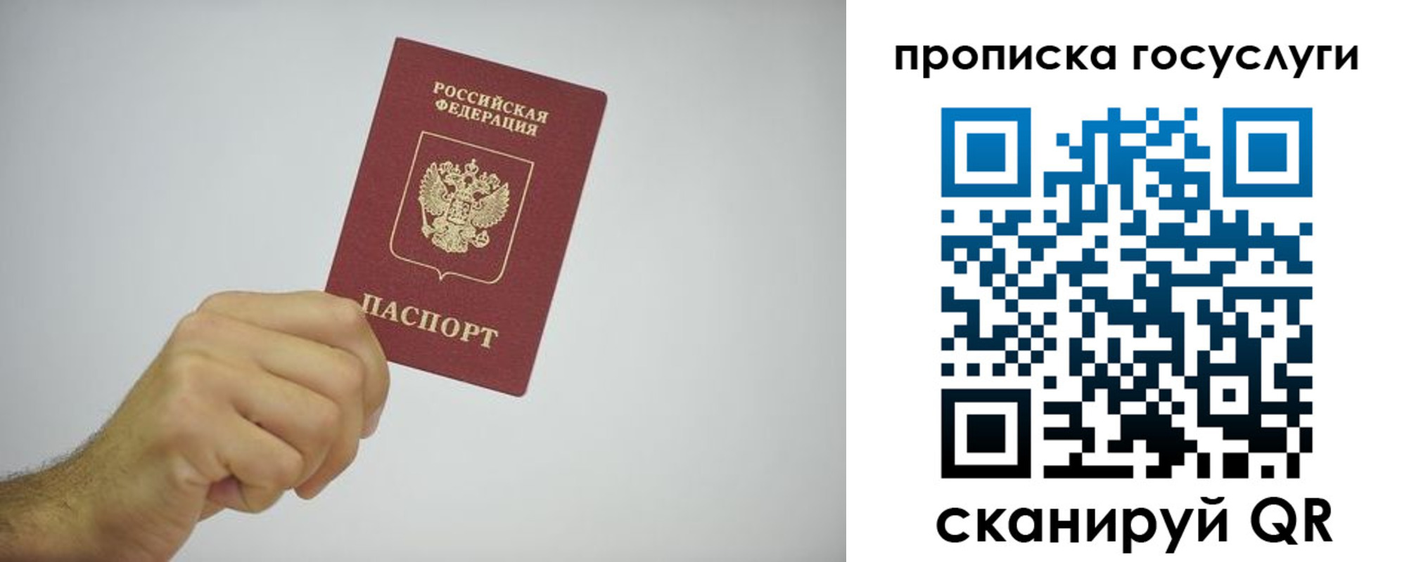 прописка законно в Ярославской области